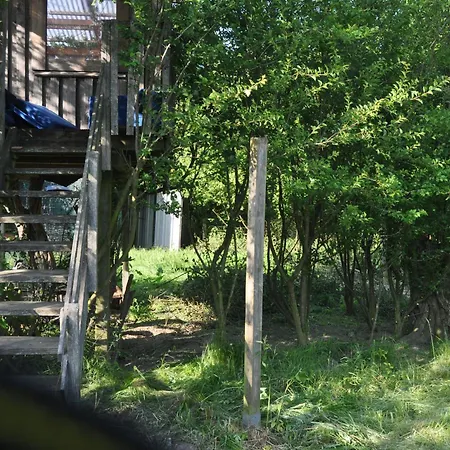 Kleiner Und Grosser Stern *