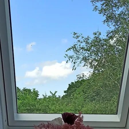 Kleiner Und Grosser Stern Lejlighed Stoltebüll