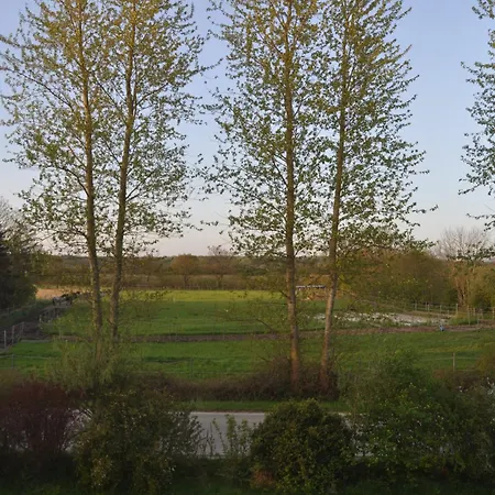 Kleiner Und Grosser Stern *